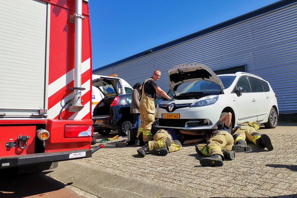 Kat vast in motorcompartiment van auto