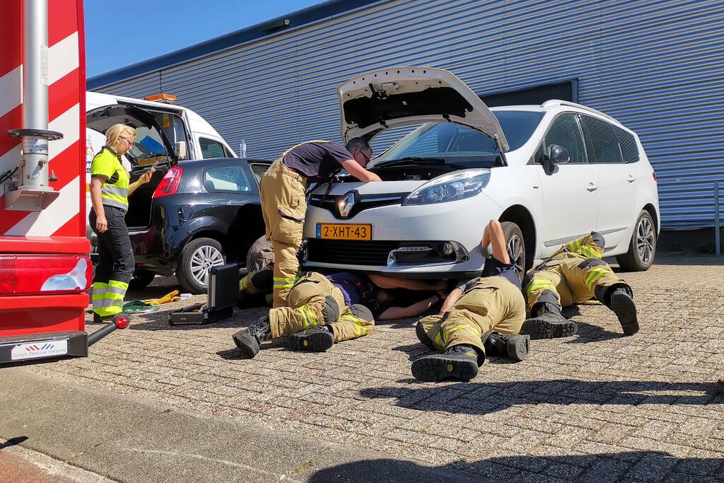 Kat vast in motorcompartiment van auto