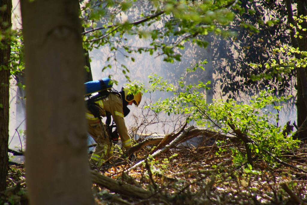 Brand in bosgebied
