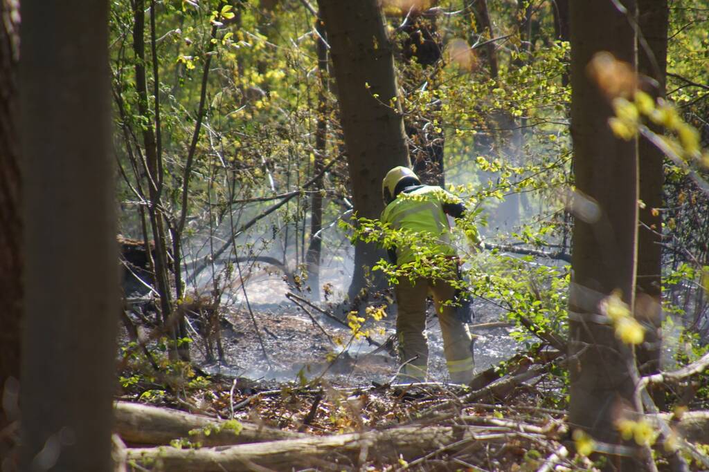 Brand in bosgebied