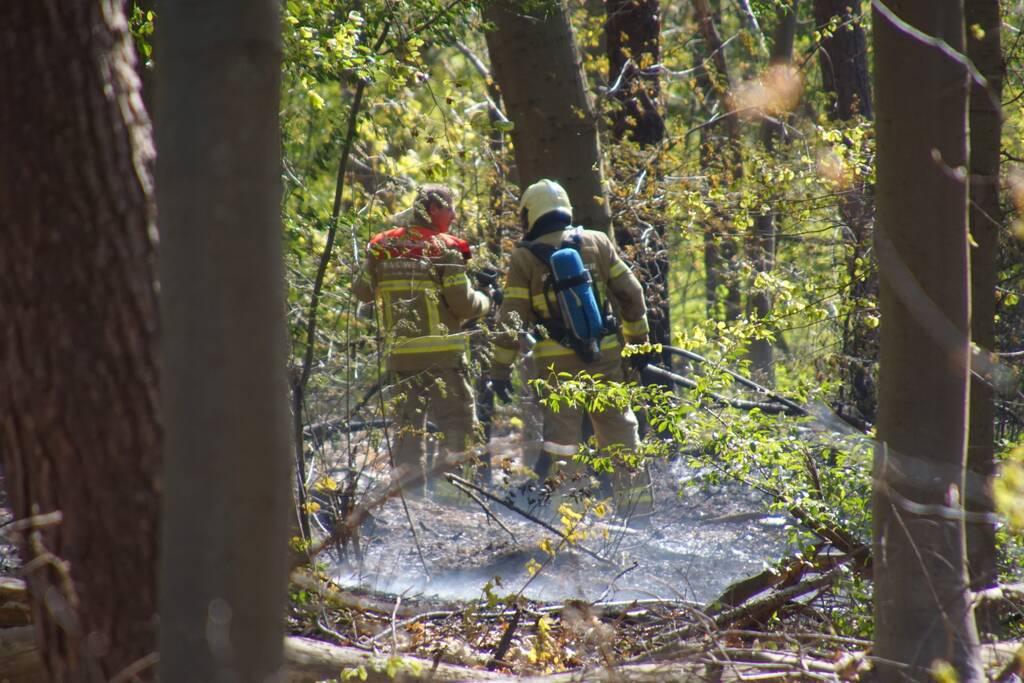 Brand in bosgebied