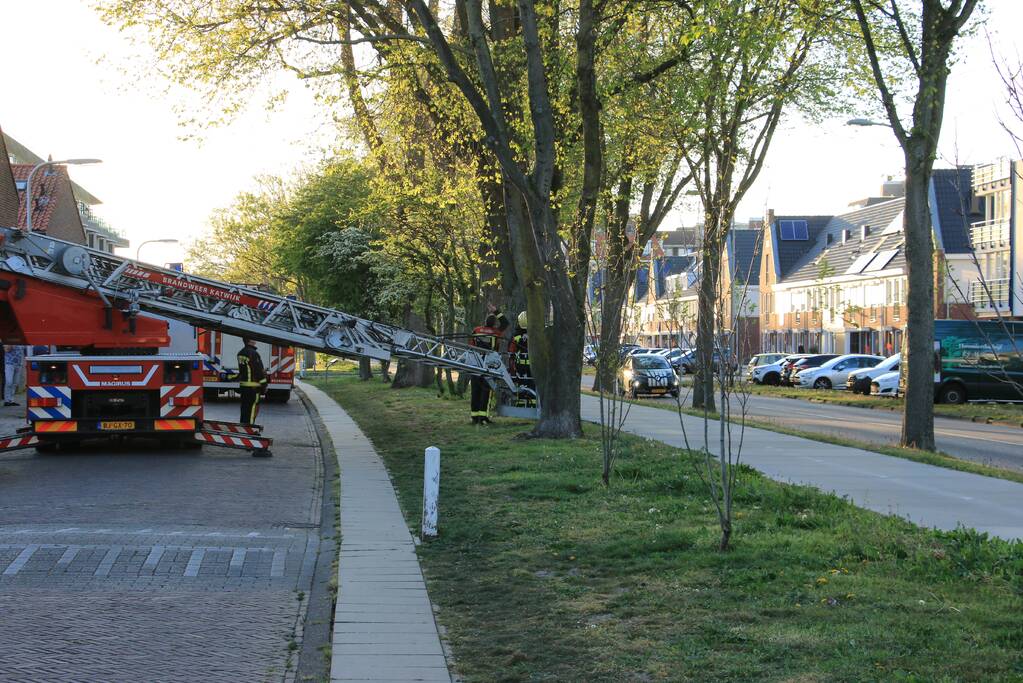 Brandweer verwijderd losse takken uit boom