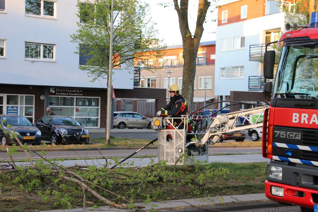 Brandweer verwijderd losse takken uit boom