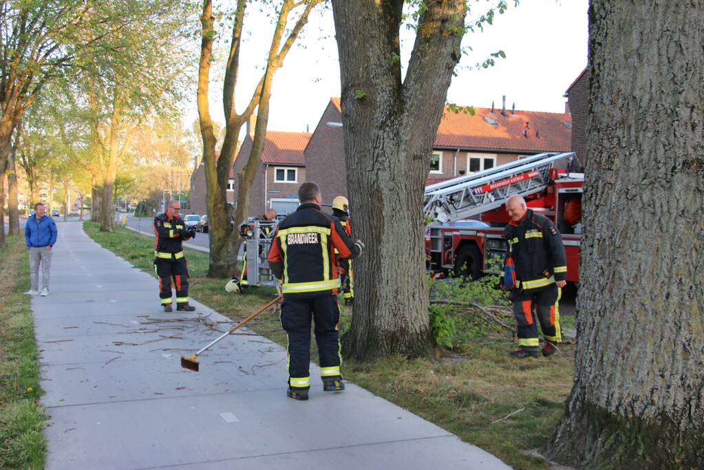 Brandweer verwijderd losse takken uit boom