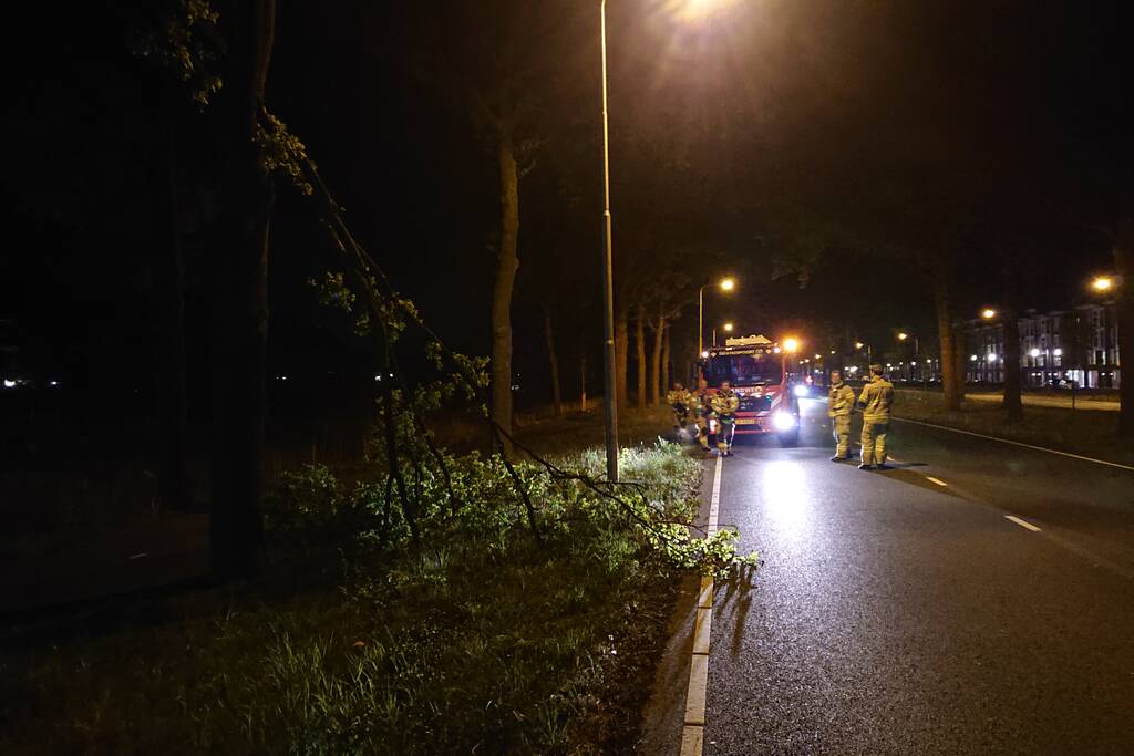Brandweer verwijdert gevaarlijk hangende takken
