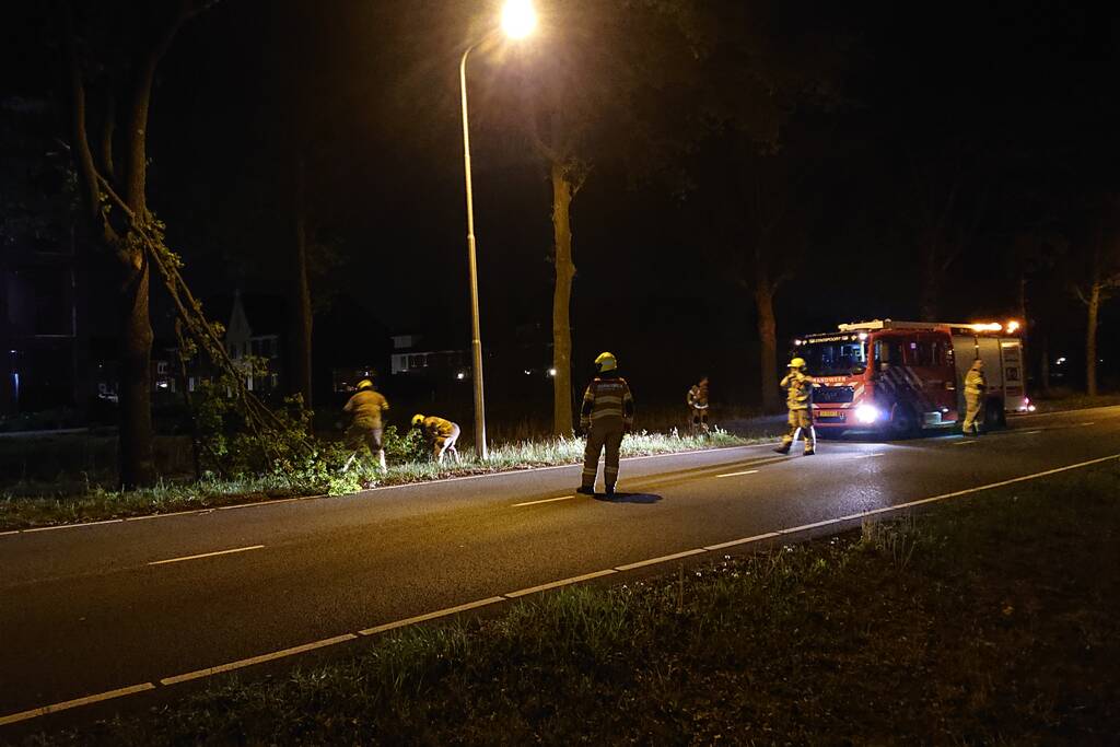 Brandweer verwijdert gevaarlijk hangende takken