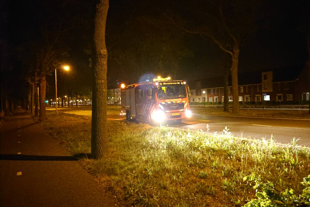 Brandweer verwijdert gevaarlijk hangende takken