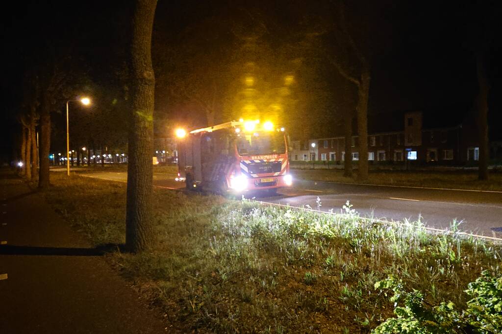 Brandweer verwijdert gevaarlijk hangende takken