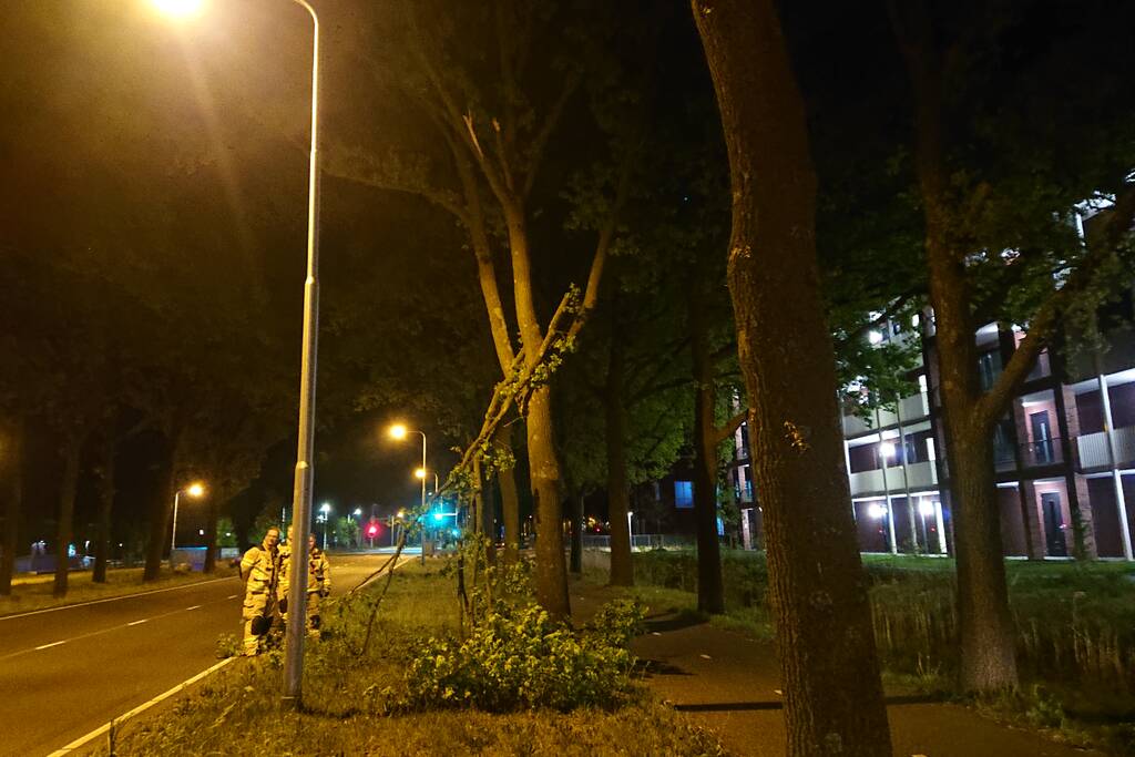 Brandweer verwijdert gevaarlijk hangende takken