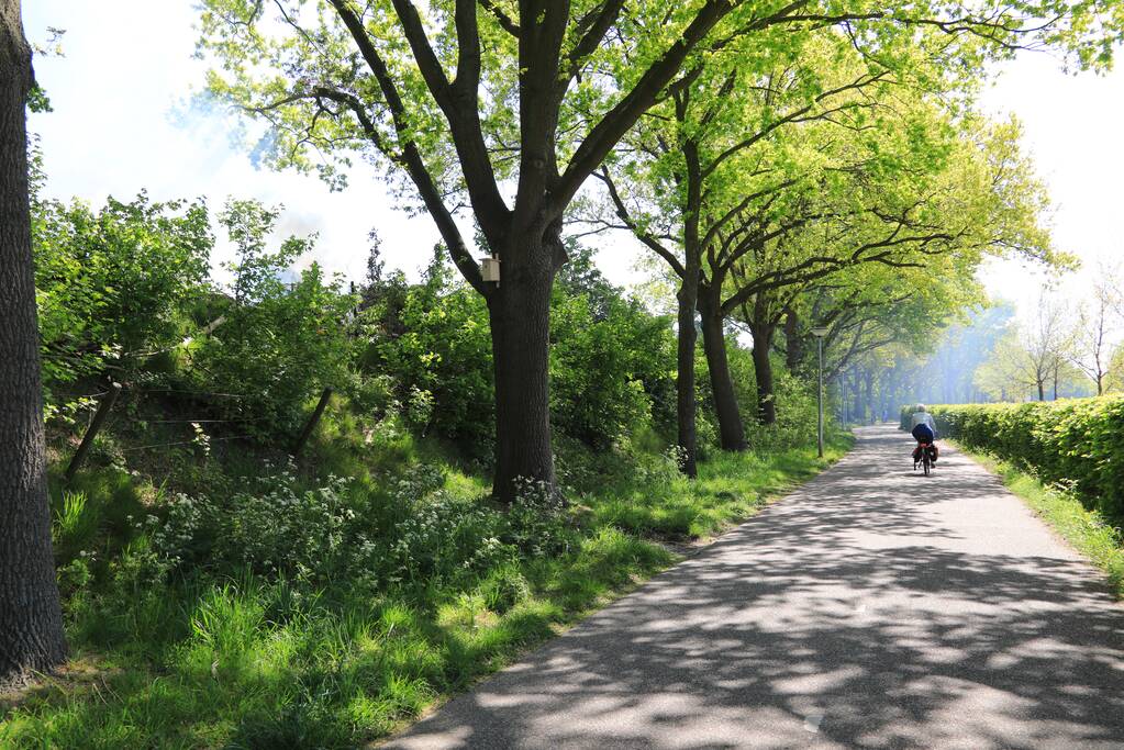 Struiken in brand op geluidswal