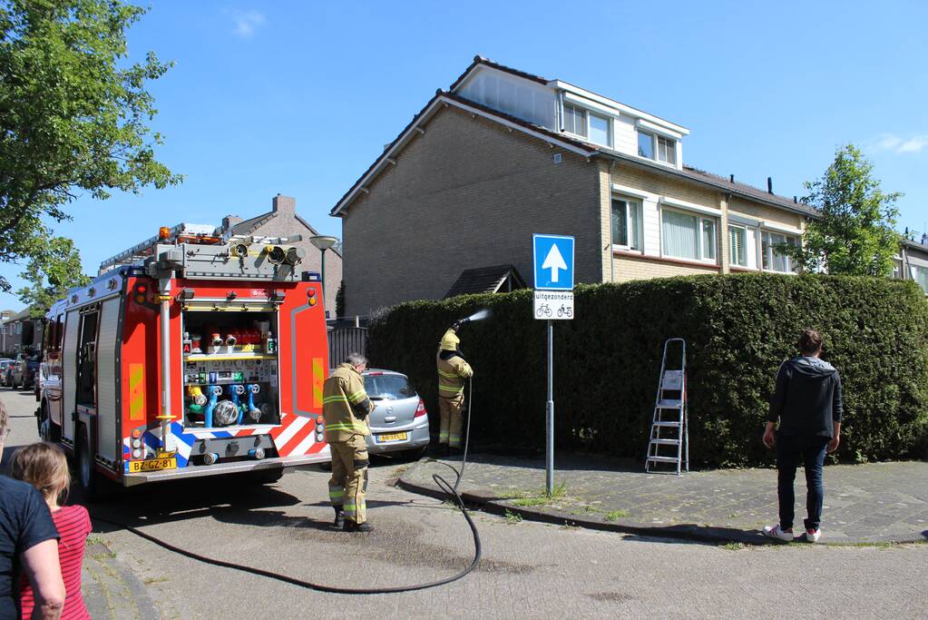 Coniferenhaag vat vlam bij wegbranden van onkruid