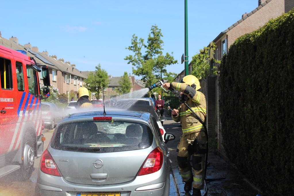 Coniferenhaag vat vlam bij wegbranden van onkruid