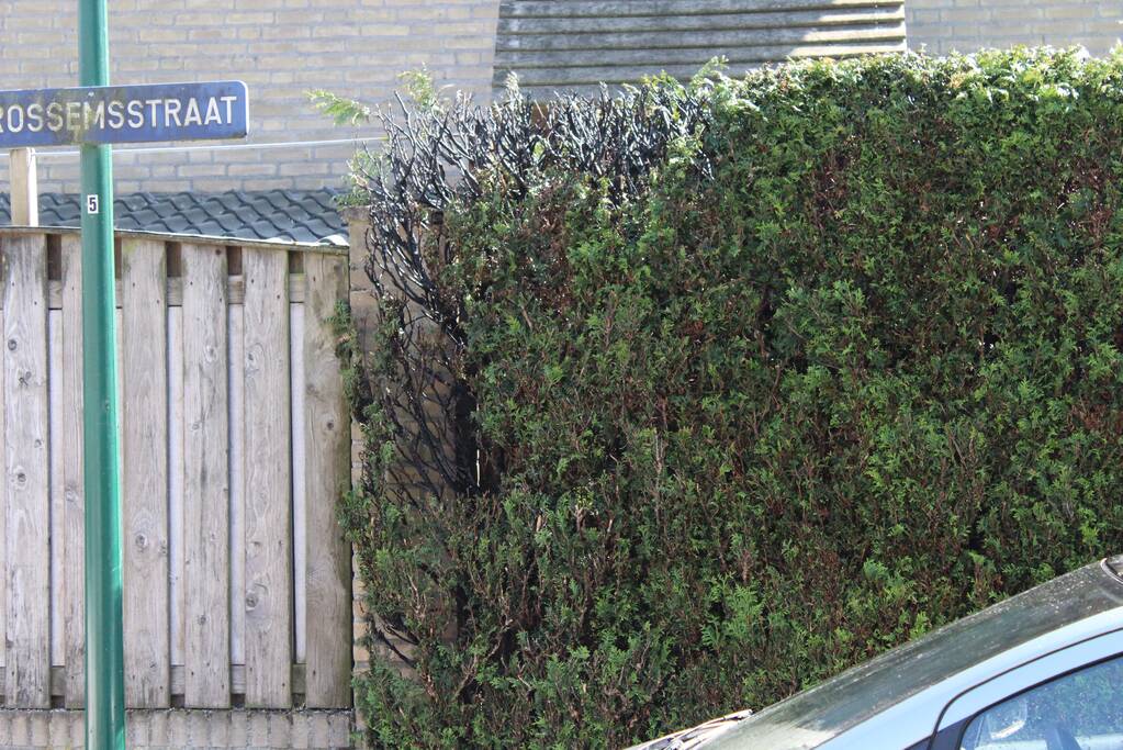 Coniferenhaag vat vlam bij wegbranden van onkruid