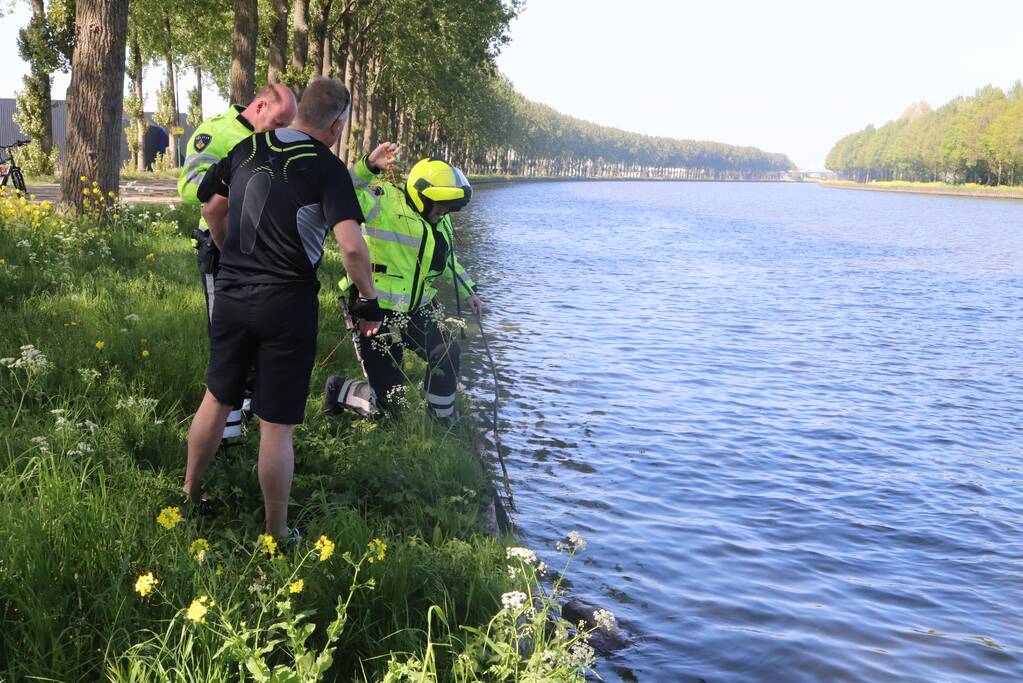 Omstanders treffen dode ree aan in het water