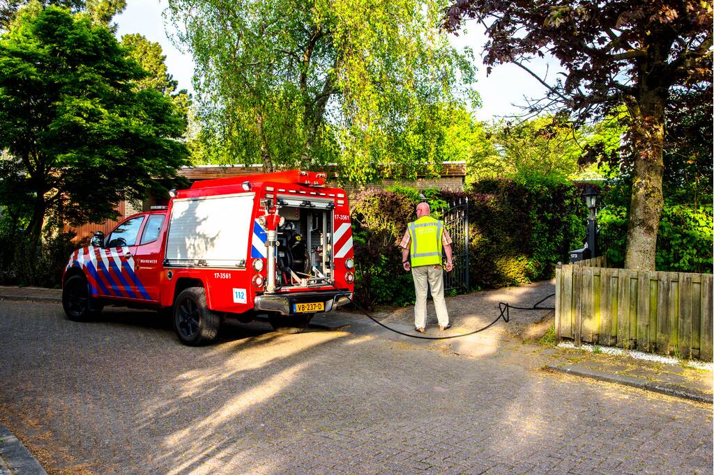 Struiken in brand tijdens barbecueën