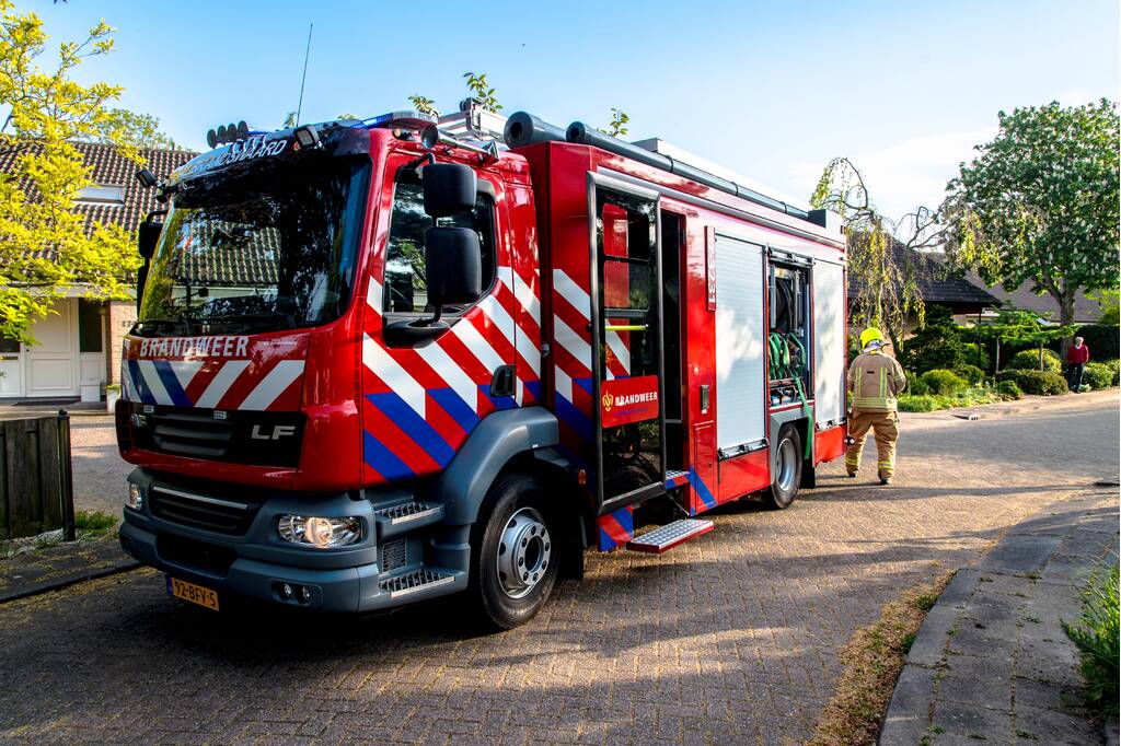 Struiken in brand tijdens barbecueën