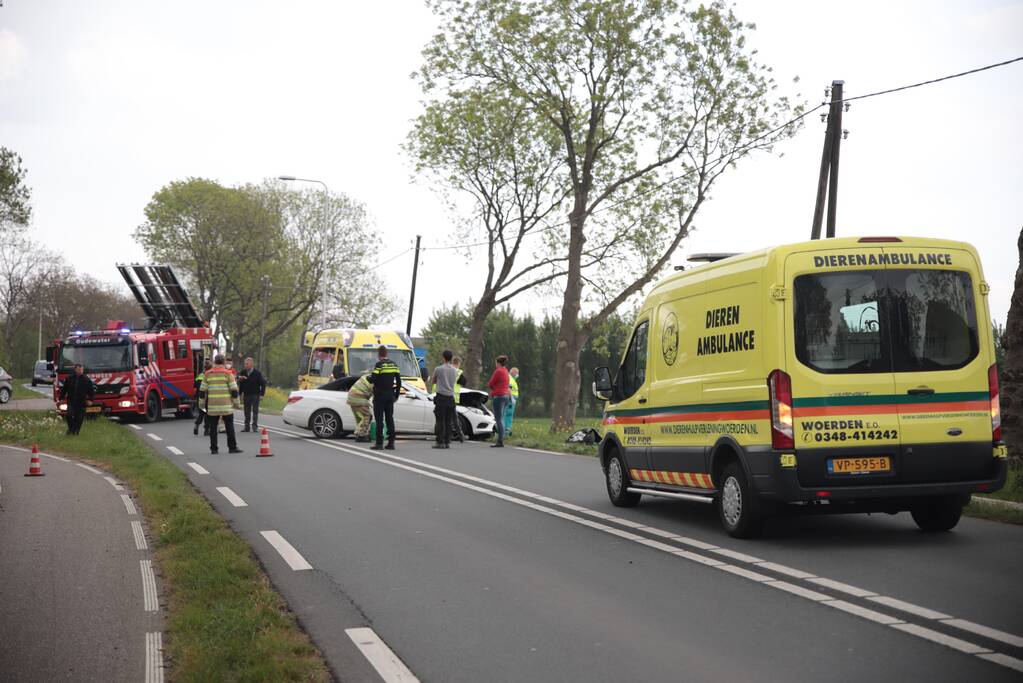 Auto belandt in weiland na frontale aanrijding
