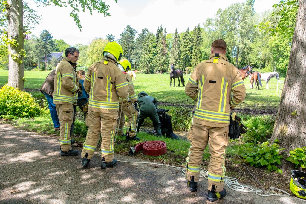 Brandweer haalt paard uit de sloot