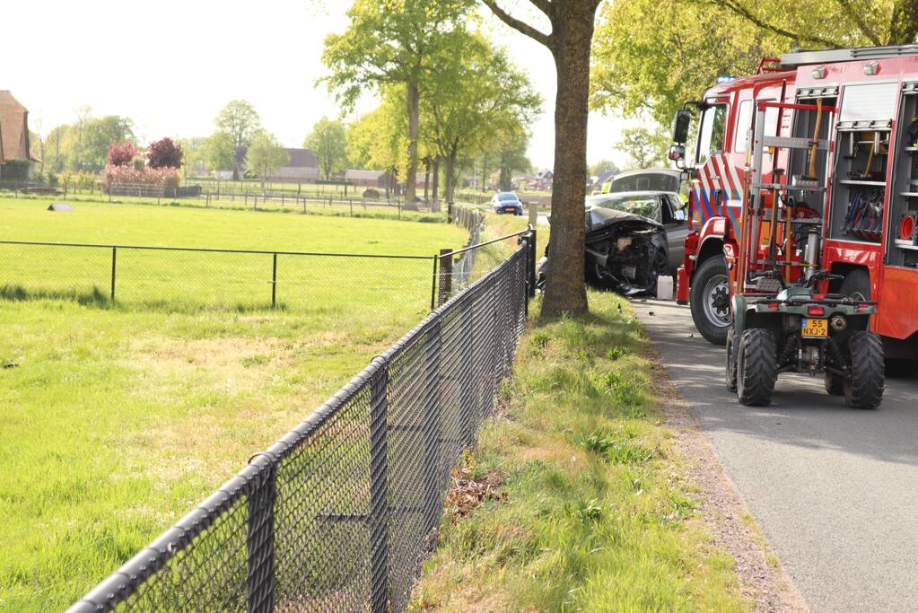 Auto botst op boom