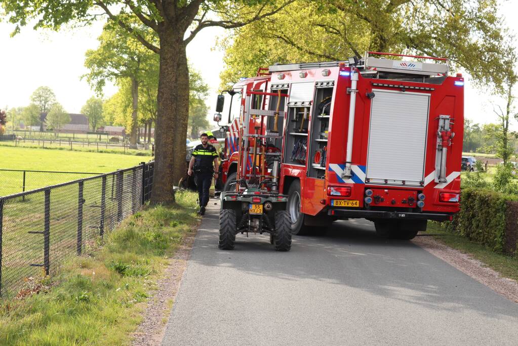 Auto botst op boom