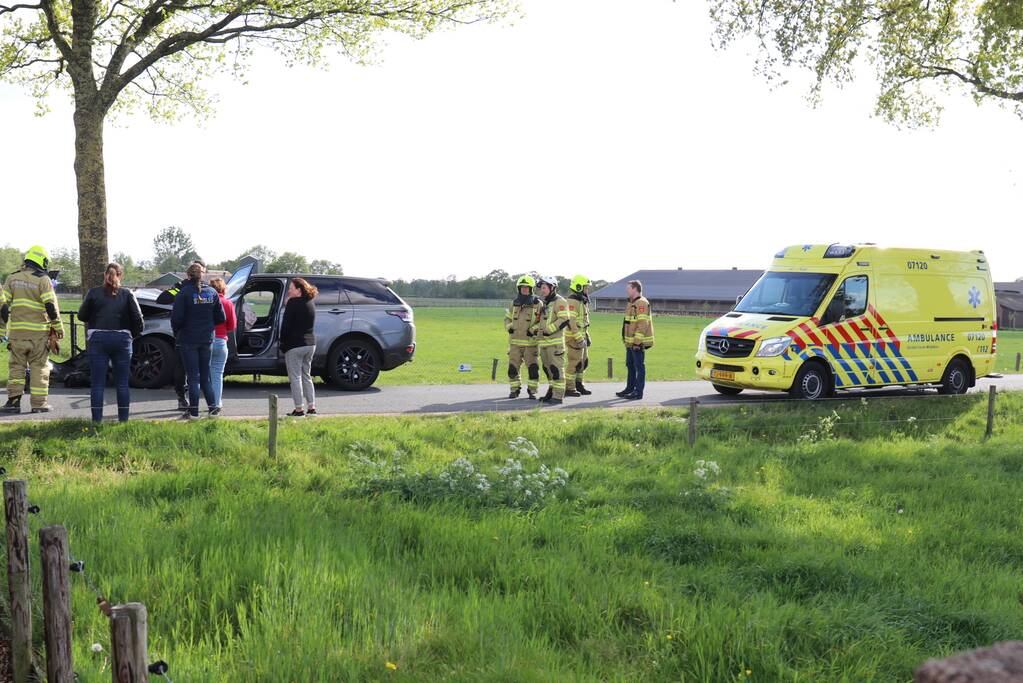 Auto botst op boom