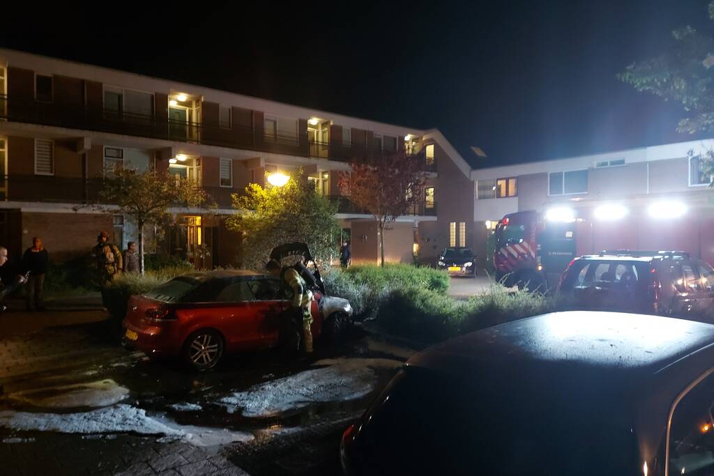 Auto vermoedelijk in brand gestoken