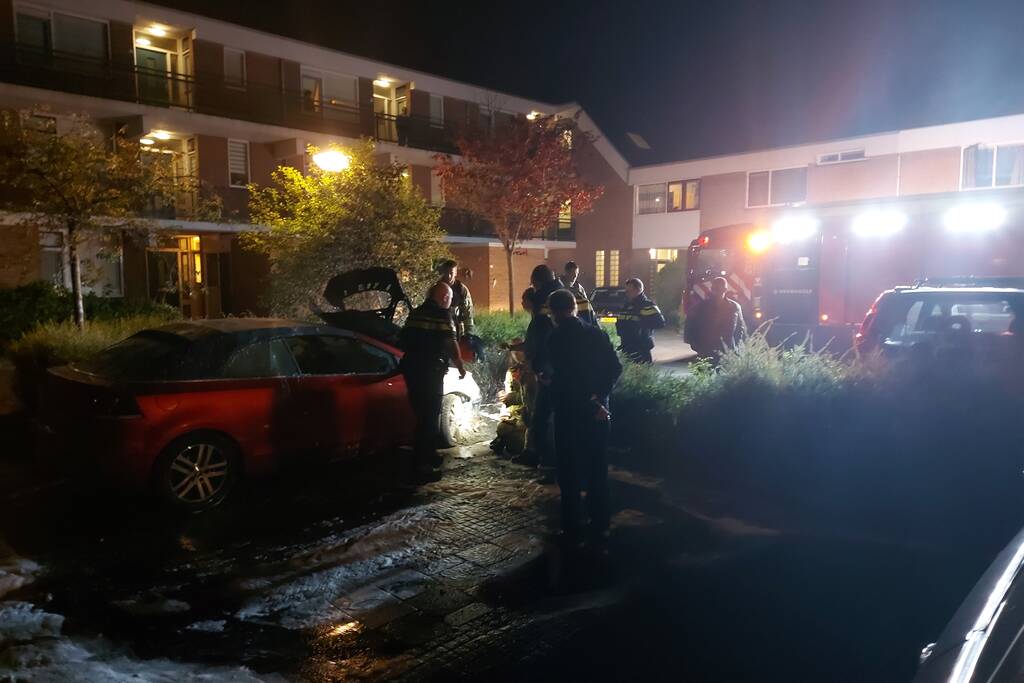 Auto vermoedelijk in brand gestoken
