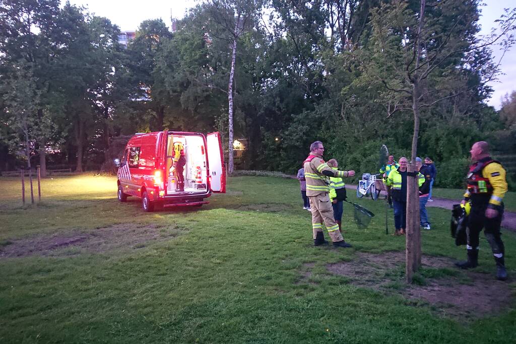 Zwaan met visdraad in de problemen