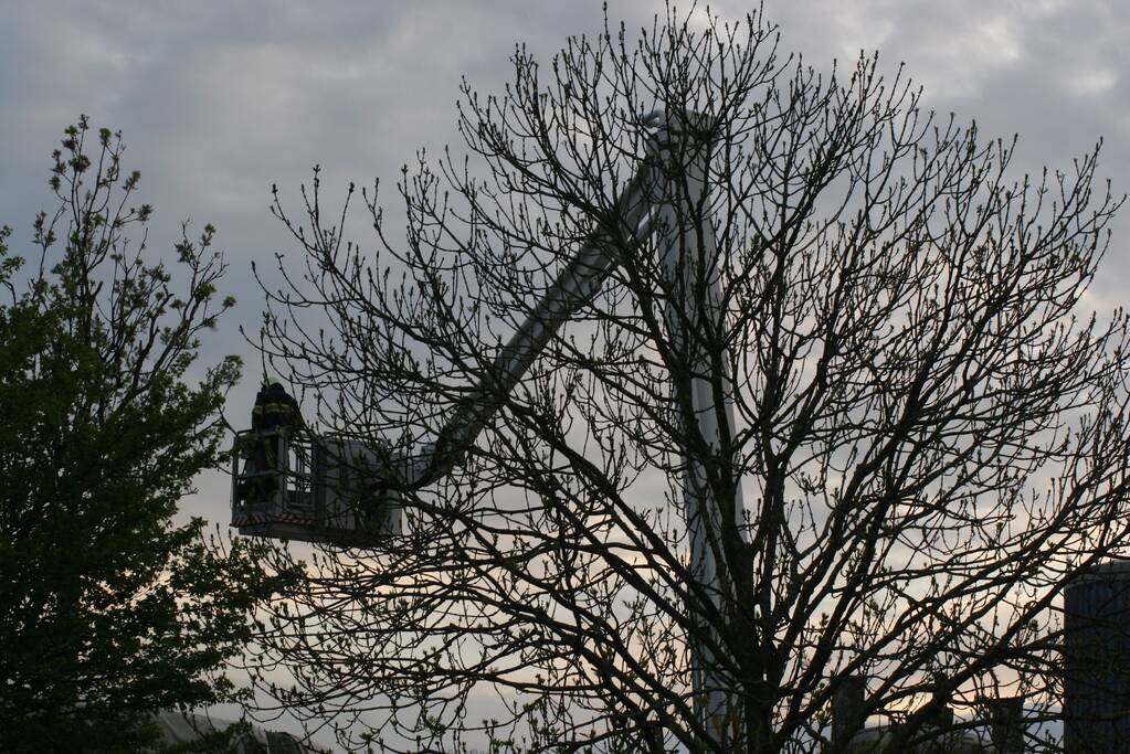 Flinke brand in silo