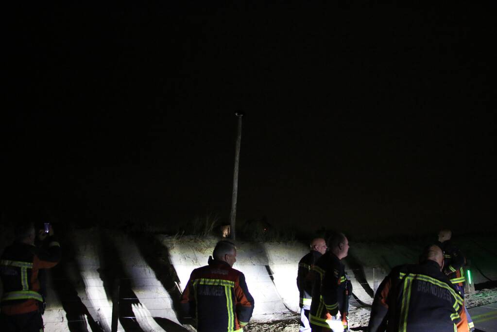 Zanger Alex zorgt voor inzet brandweer voor kat op paal