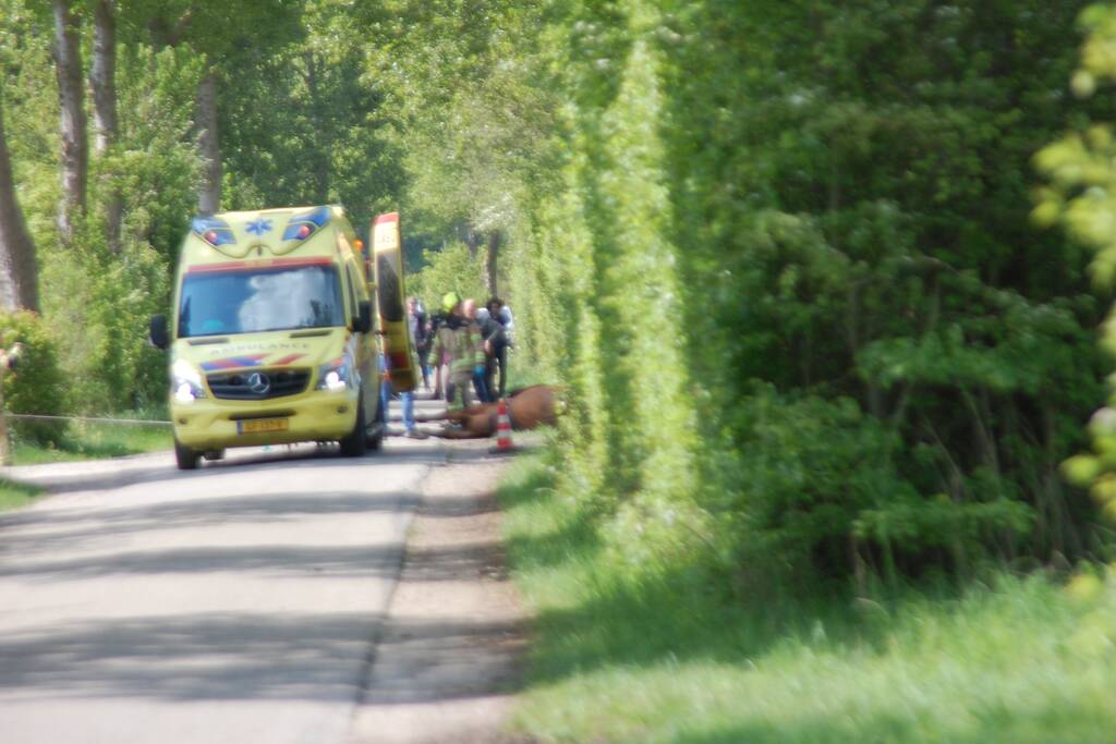 Meisje komt onder paard bij manege De Eendracht