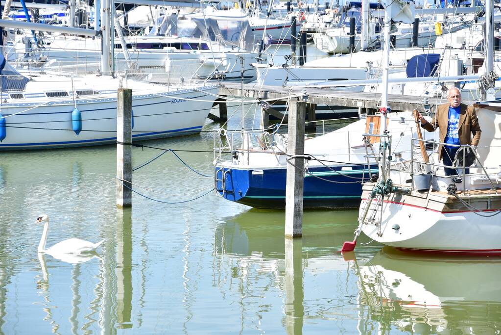 Zwaan raakt vast in visdraad bij Jachthaven Lelystad