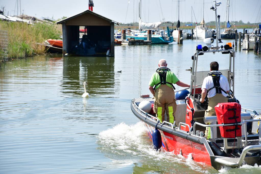 Zwaan raakt vast in visdraad bij Jachthaven Lelystad