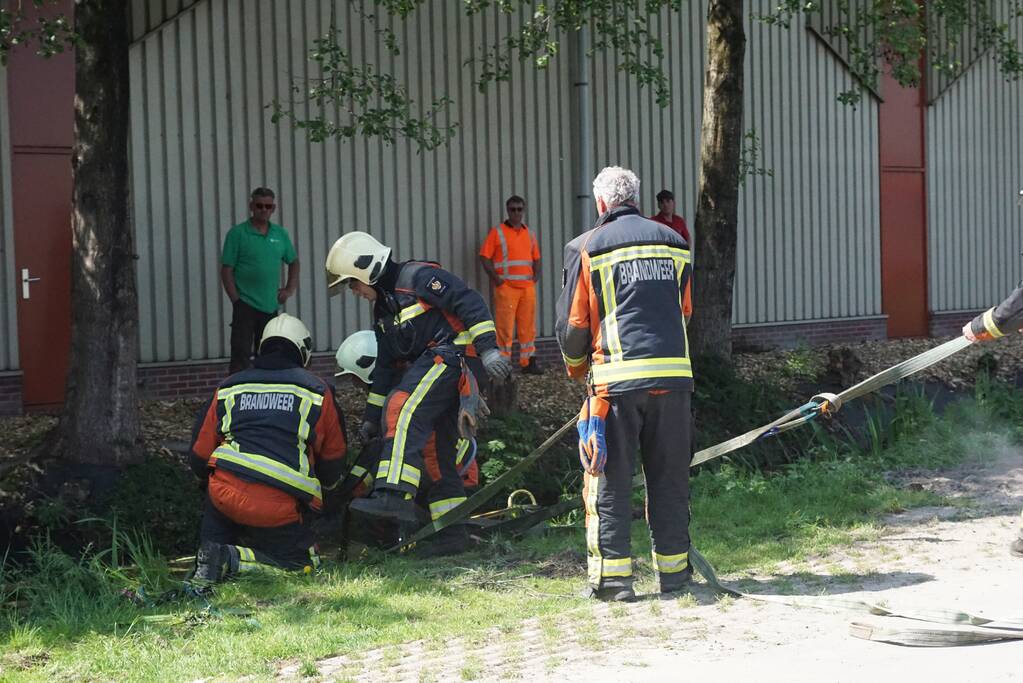 Paard met wagen belanden in sloot