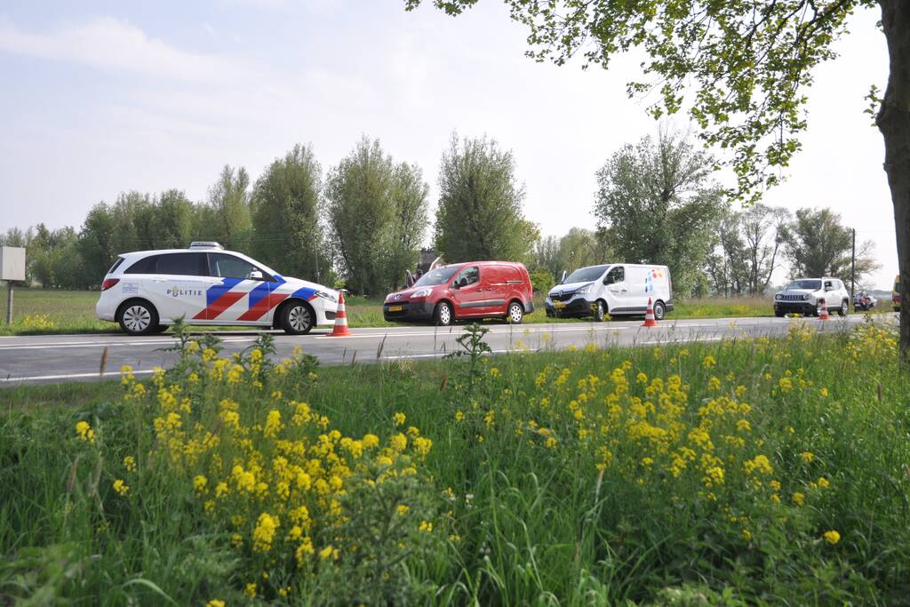 Gewonde bii kop-staartaanrijding