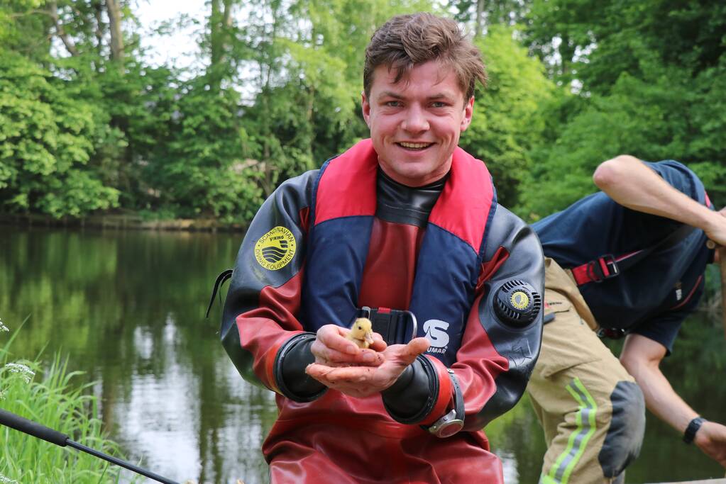 Brandweer redt baby eend uit rioolbuis