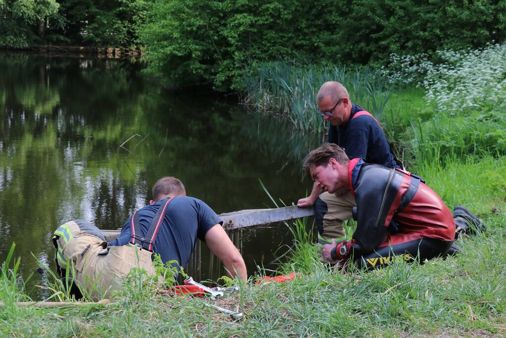 Brandweer redt baby eend uit rioolbuis