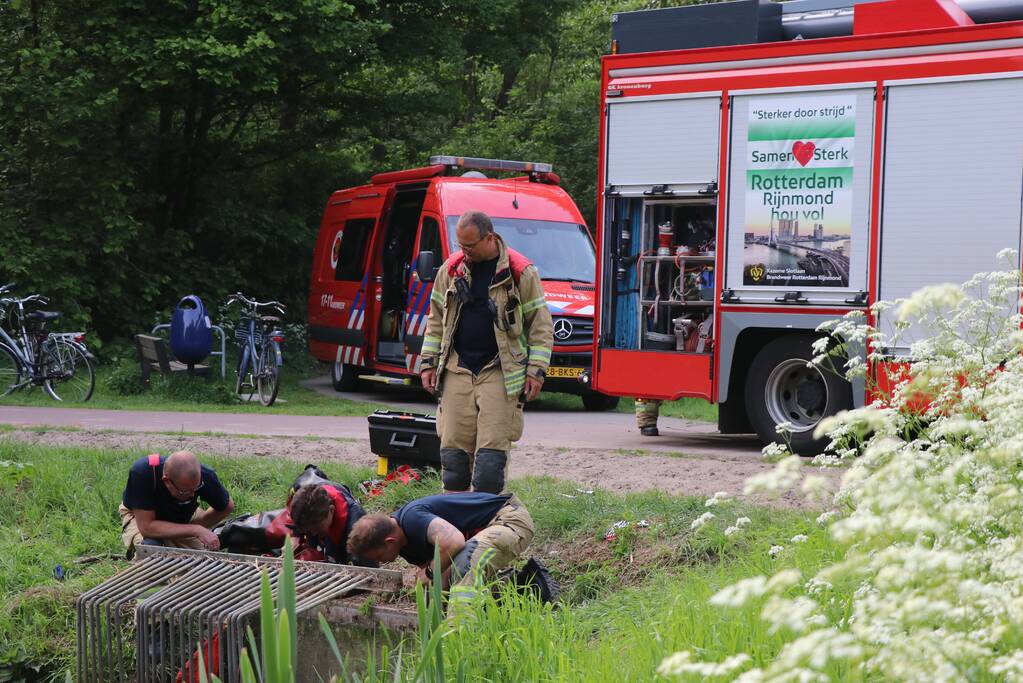 Brandweer redt baby eend uit rioolbuis
