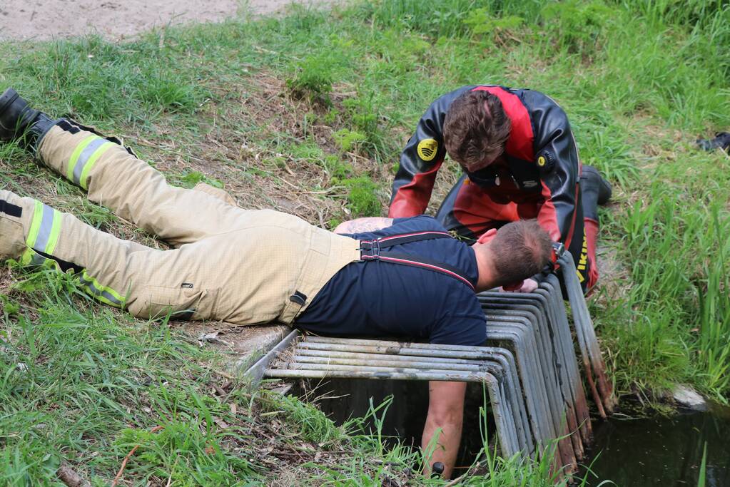 Brandweer redt baby eend uit rioolbuis