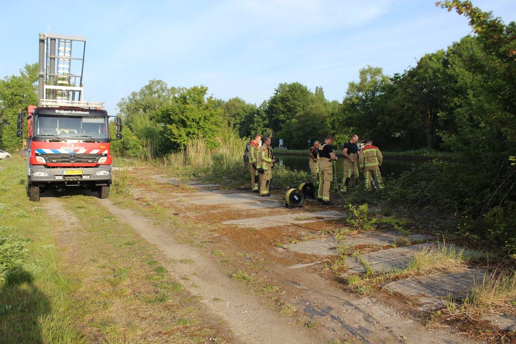 Ree gered uit kanaal