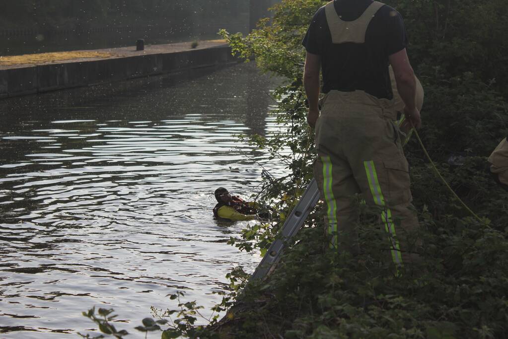 Ree gered uit kanaal