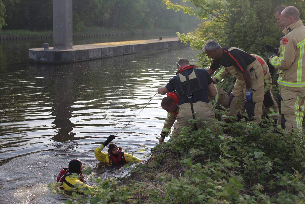 Ree gered uit kanaal