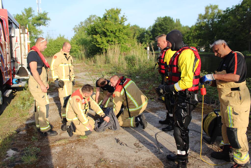 Ree gered uit kanaal