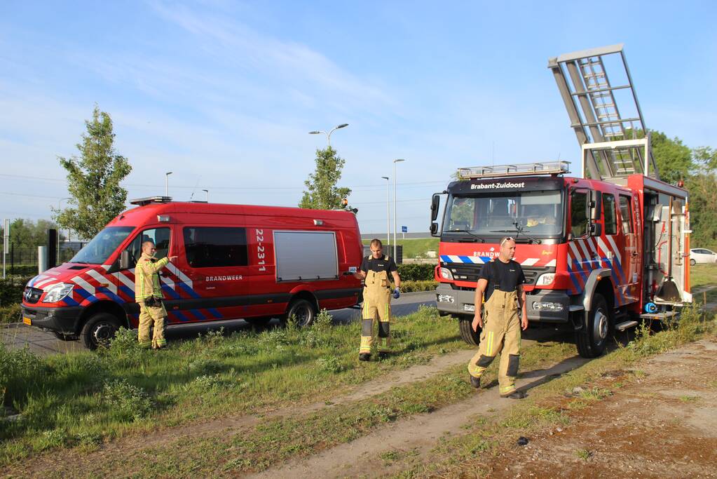 Ree gered uit kanaal