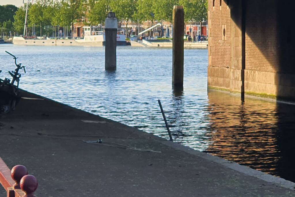 Magneetvisser haalt explosief uit water