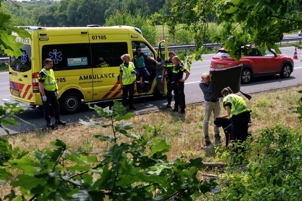 Auto raakt van snelweg en crasht