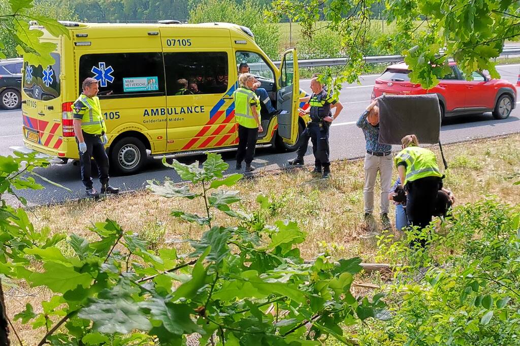 Auto raakt van snelweg en crasht