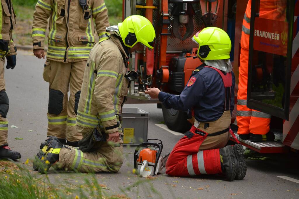 Omgewaaide boom blokkeert fietspad
