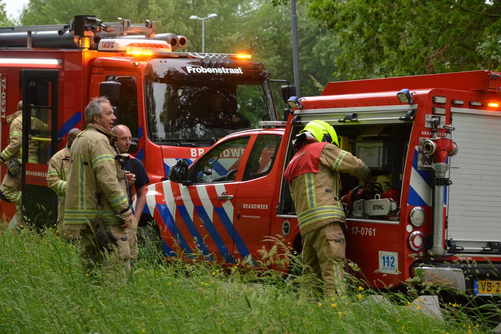 Omgewaaide boom blokkeert fietspad