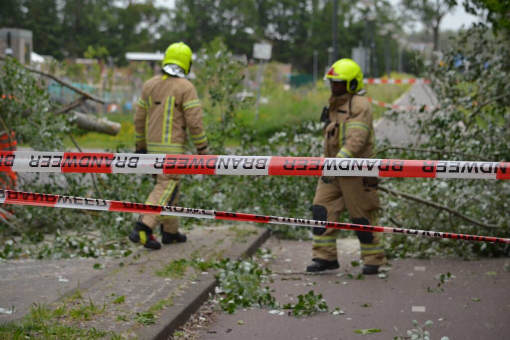 Omgewaaide boom blokkeert fietspad